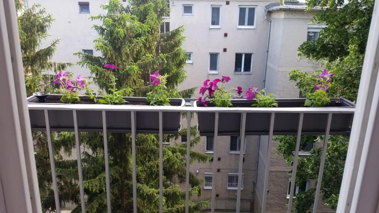 Tisza-Parti Napfeny Apartman Szeged Exterior photo